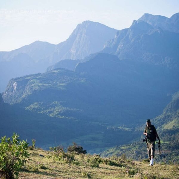 Half-Day Knuckles Safari