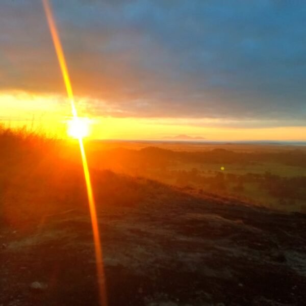 Wasgamuwa Night Safari + BBQ Dinner