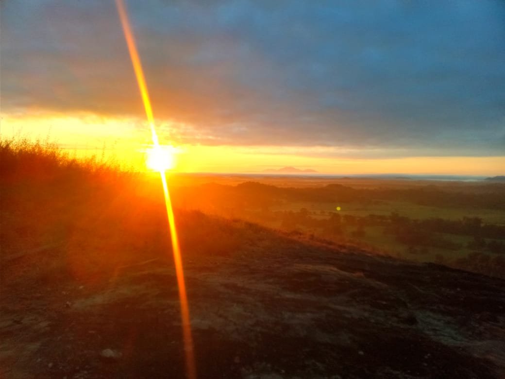 Wasgamuwa Night Safari + BBQ Dinner