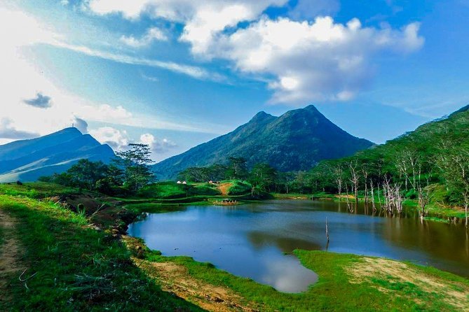 One Of a Kind Experience